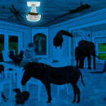 zoodreams
